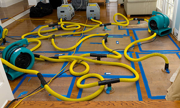 Professional Flood Damage Restoration technician working in Custer, SD